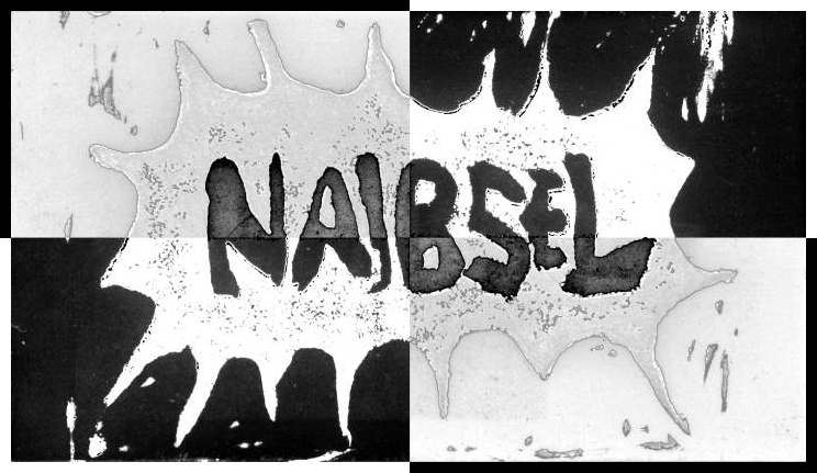 NAIBSEL